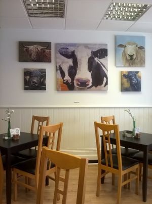 Moo! at The Green Room in Middlesbrough