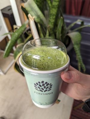  at Fontana in Athens