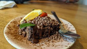 Brownie at Earthlings in Bolton