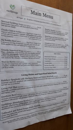 Main menu at Earthlings in Bolton