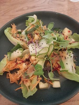 Crunchy rolls at Earthlings in Bolton