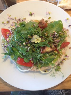 Flatbread special with pea houmous, salad, sprouting seeds and rose and pomegranate dressing.  at Earthlings in Bolton