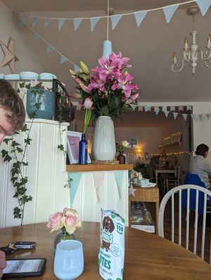  at Earthlings in Bolton