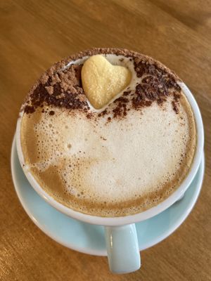   at Earthlings in Bolton