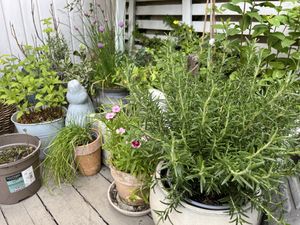   at Earthlings in Bolton