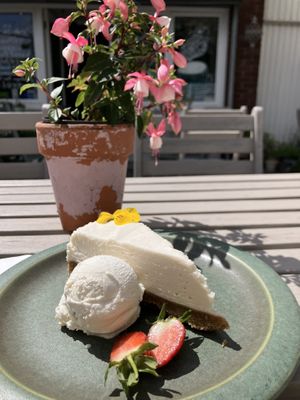   at Earthlings in Bolton