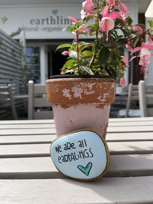   at Earthlings in Bolton