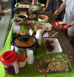 Potluck under the pavillion at Bogert Park at Plant Powered 406 in Bozeman