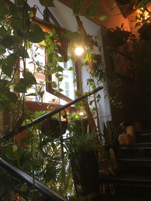   at Farma Burgerownia Roslinna in Krakow