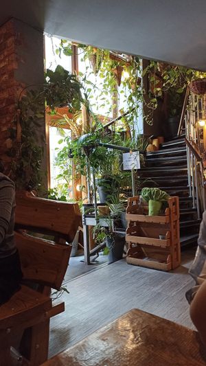  at Farma Burgerownia Roslinna in Krakow