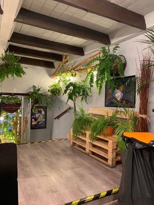 Very beautiful place in city centre.  Many options and friendly staff at Farma Burgerownia Roslinna in Krakow