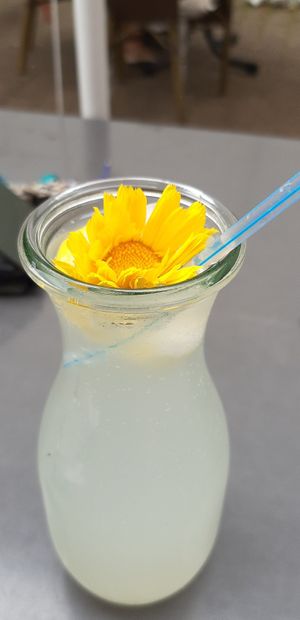 Home made lemonade at Cafe Flora in Bad Harzburg