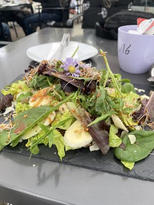   at Cafe Flora in Bad Harzburg