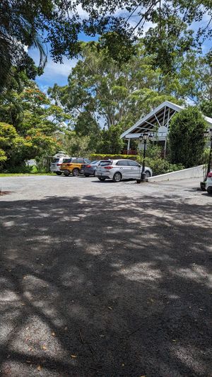 Carpark #Veganuary at Greenhouse Canteen & Bar in Tallebudgera-vallley