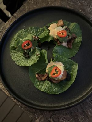   at Greenhouse Canteen & Bar in Tallebudgera-vallley