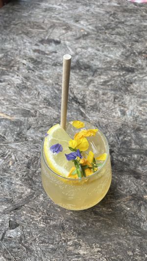 Kombucha  at Greenhouse Canteen & Bar in Tallebudgera-vallley