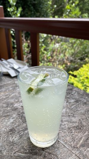 Pickled Pig ginger beer   at Greenhouse Canteen & Bar in Tallebudgera-vallley