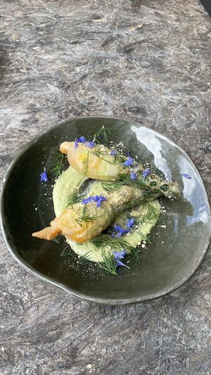 Ohh my - Divine Stuffed Zuchinni flowers - We’ll be back for more !  at Greenhouse Canteen & Bar in Tallebudgera-vallley