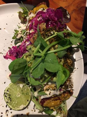 Jackfruit enchilada at Greenhouse Canteen & Bar in Tallebudgera-vallley