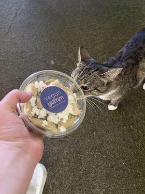   at Veganyumm Bakehouse in Brisbane