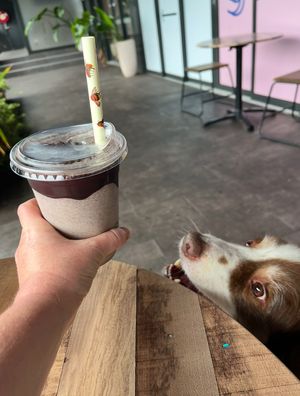 Oreo milkshake   at Veganyumm Bakehouse in Brisbane