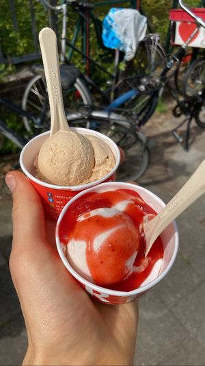 Top: cinnamon sorbet; bottom: rhubarb sorbet with strawberry sauce. Both creamy, flavorful and amazing  at Roberto Gelato in Utrecht