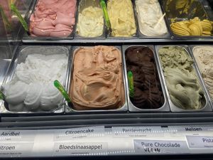 Vegan flavours  at Roberto Gelato in Utrecht