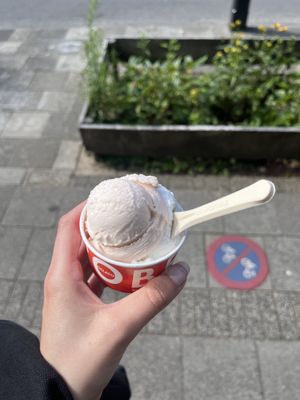 Rabarber and coconut   at Roberto Gelato in Utrecht