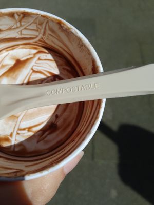 compostable 💚 at Roberto Gelato in Utrecht