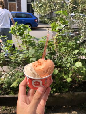 bloodorange cinnamon  at Roberto Gelato in Utrecht