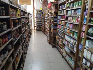 vegan at El Cambio in Malaga