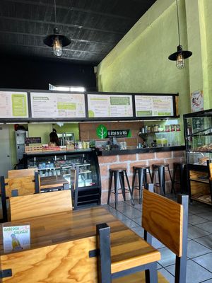 Inside  at El Arbol de la Vida in Queretaro