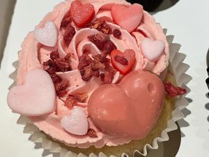   at Jesmond Cake Company in Newcastle Upon Tyne