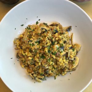 Vegan mixed grain ";risotto"; with mushrooms & saffron at ONO by Marouli in Rhodes