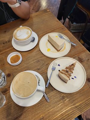 Cheesecake and oat lattes at Plants in Taipei