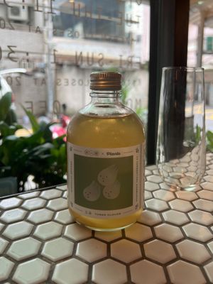 Kombucha  at Plants in Taipei