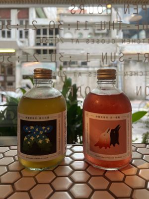 Kombucha  at Plants in Taipei