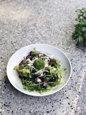 Mint cucumber sorbet & seaweed salad at Plants in Taipei