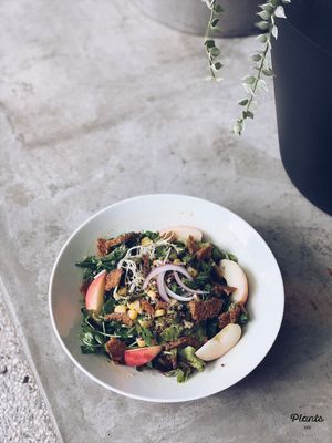 Corn & Quinoa Salad at Plants in Taipei
