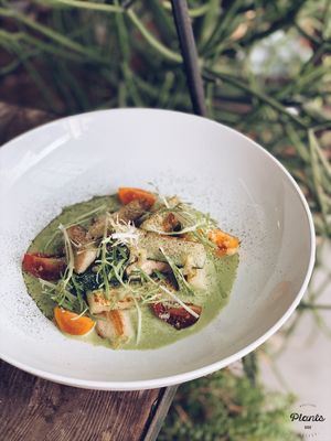 Seared Zucchini & Trumpet Mushrooms at Plants in Taipei