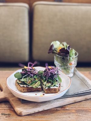 Herb & Avocado Toast at Plants in Taipei