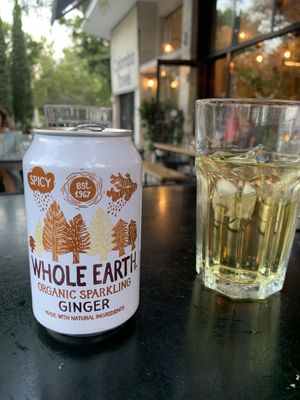 Loved this ginger drink!  at Veganaki in Athens