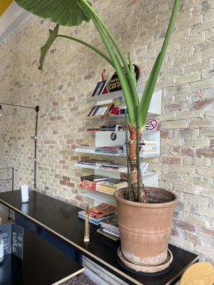 Restaurant at Veganaki in Athens