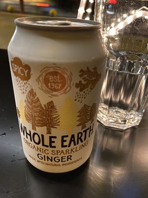 Ginger drink. Very nice! at Veganaki in Athens