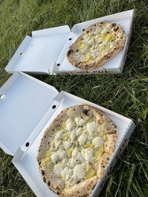 pizza bianca with potatoes   at La Stella Nera in Berlin