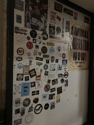   at La Stella Nera in Berlin