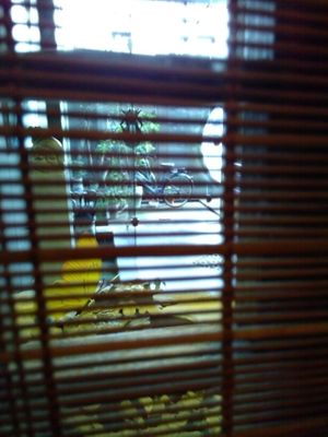 entrance (looking from the booth) at Ting Xiang Tea Life in Chengdu