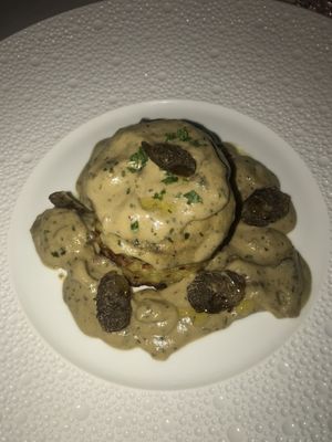 Ai piedi di una quercia   at Mater Terrae in Rome