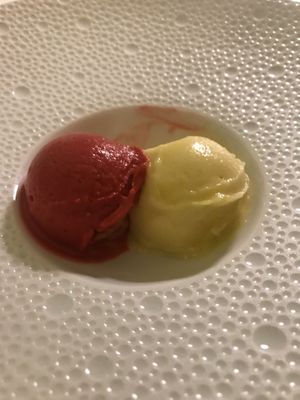 Sorbetto lampone e mango  at Mater Terrae in Rome