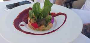  at Mater Terrae in Rome